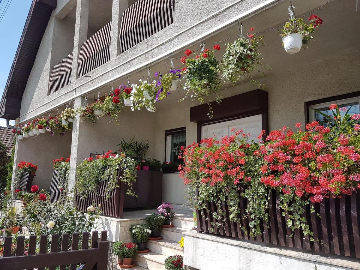 Antal Apartmans Lunca De Sus Kulcsoshaz Gyimesfelsolok Exterior foto