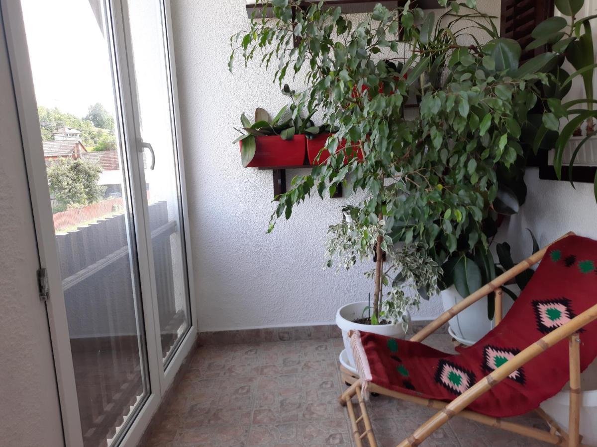 Antal Apartmans Lunca De Sus Kulcsoshaz Gyimesfelsolok Exterior foto