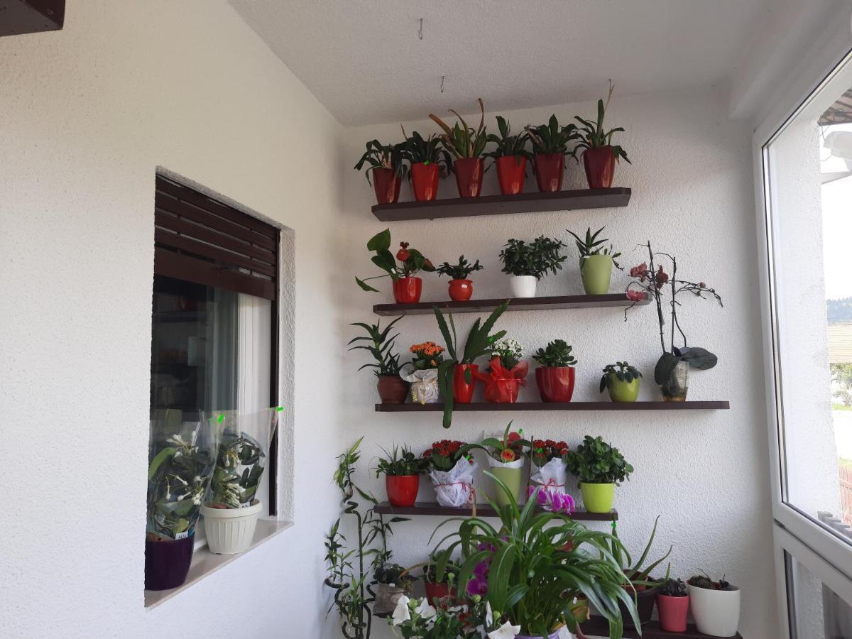 Antal Apartmans Lunca De Sus Kulcsoshaz Gyimesfelsolok Exterior foto