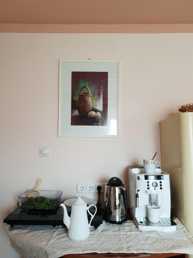 Antal Apartmans Lunca De Sus Kulcsoshaz Gyimesfelsolok Exterior foto